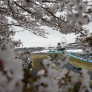 F1 team announce major change for Japanese Grand Prix weekend